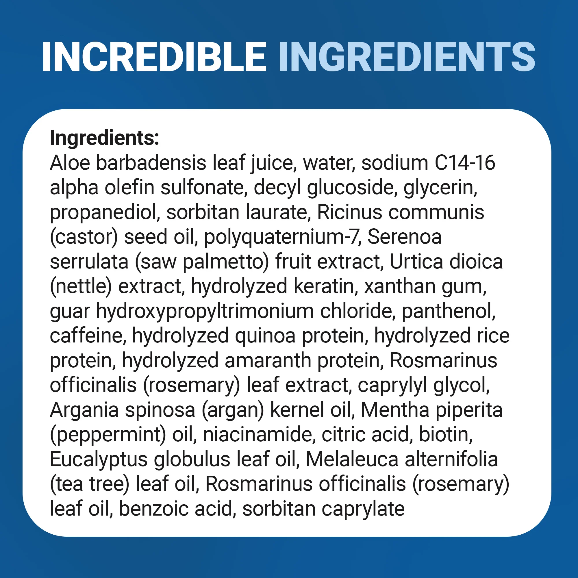 Biotin Shampoo – New and Improved – 8 fl oz - Image 2