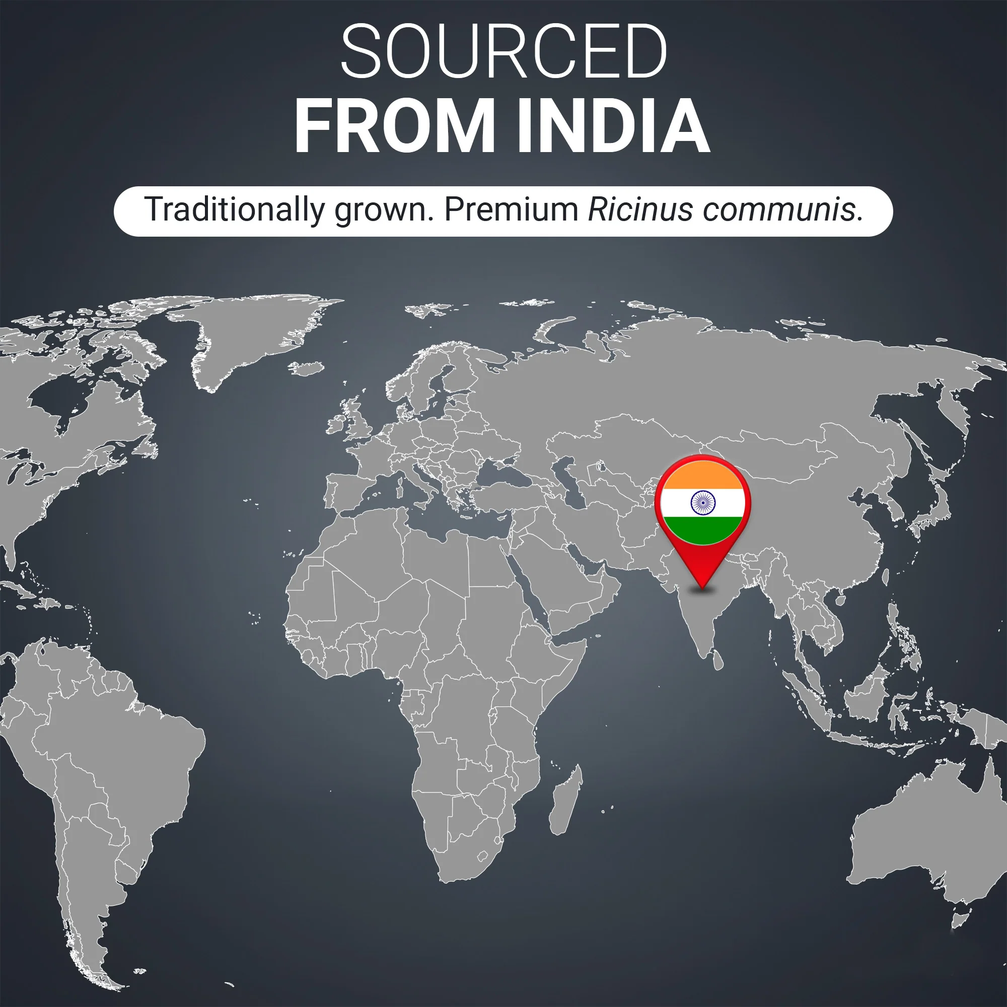 Organic Castor Oil – Cold-Pressed, Pure, Hexane-Free - Image 10