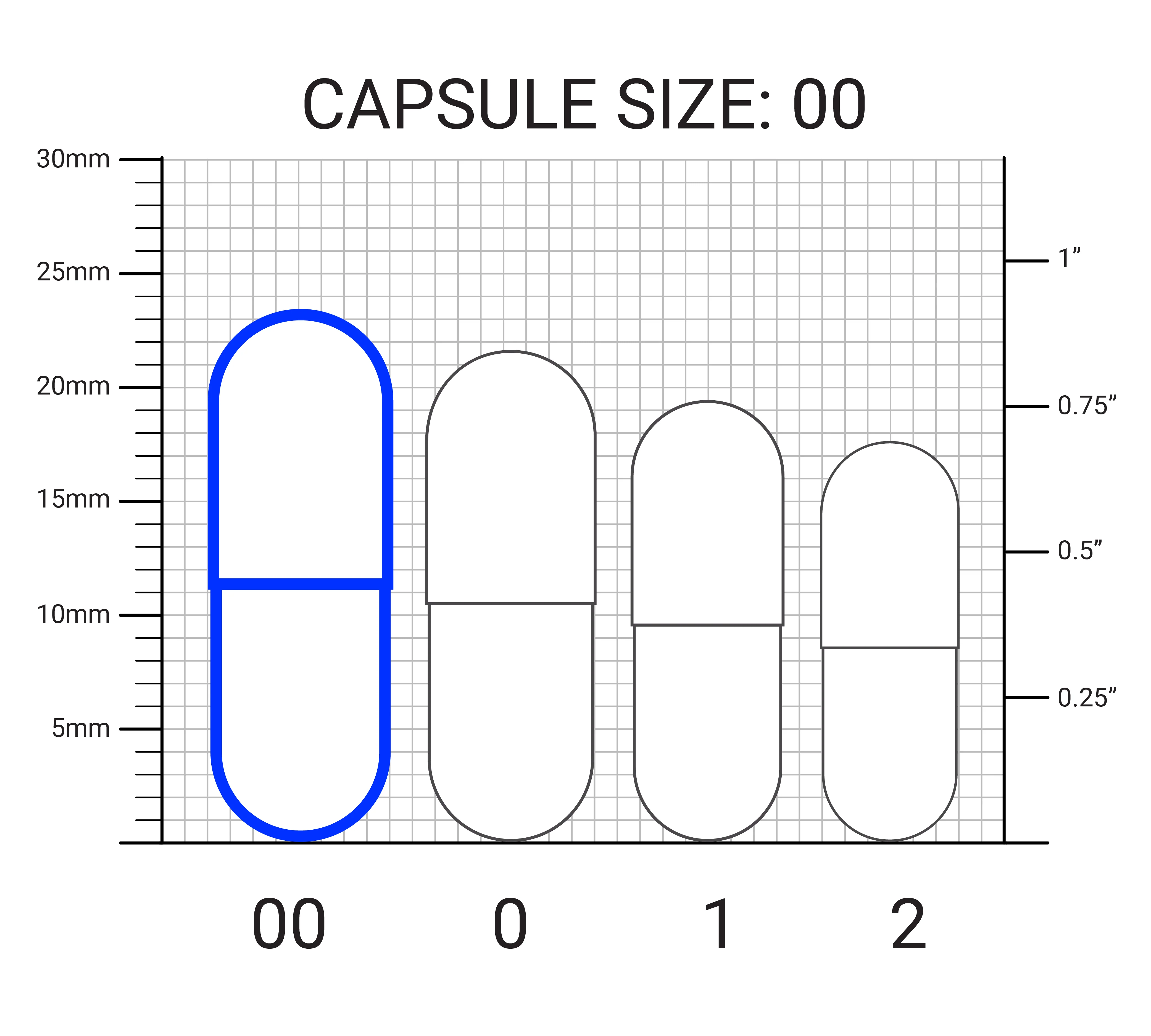 Dr. Berg Probiotics with Prebiotic Blend - Image 16
