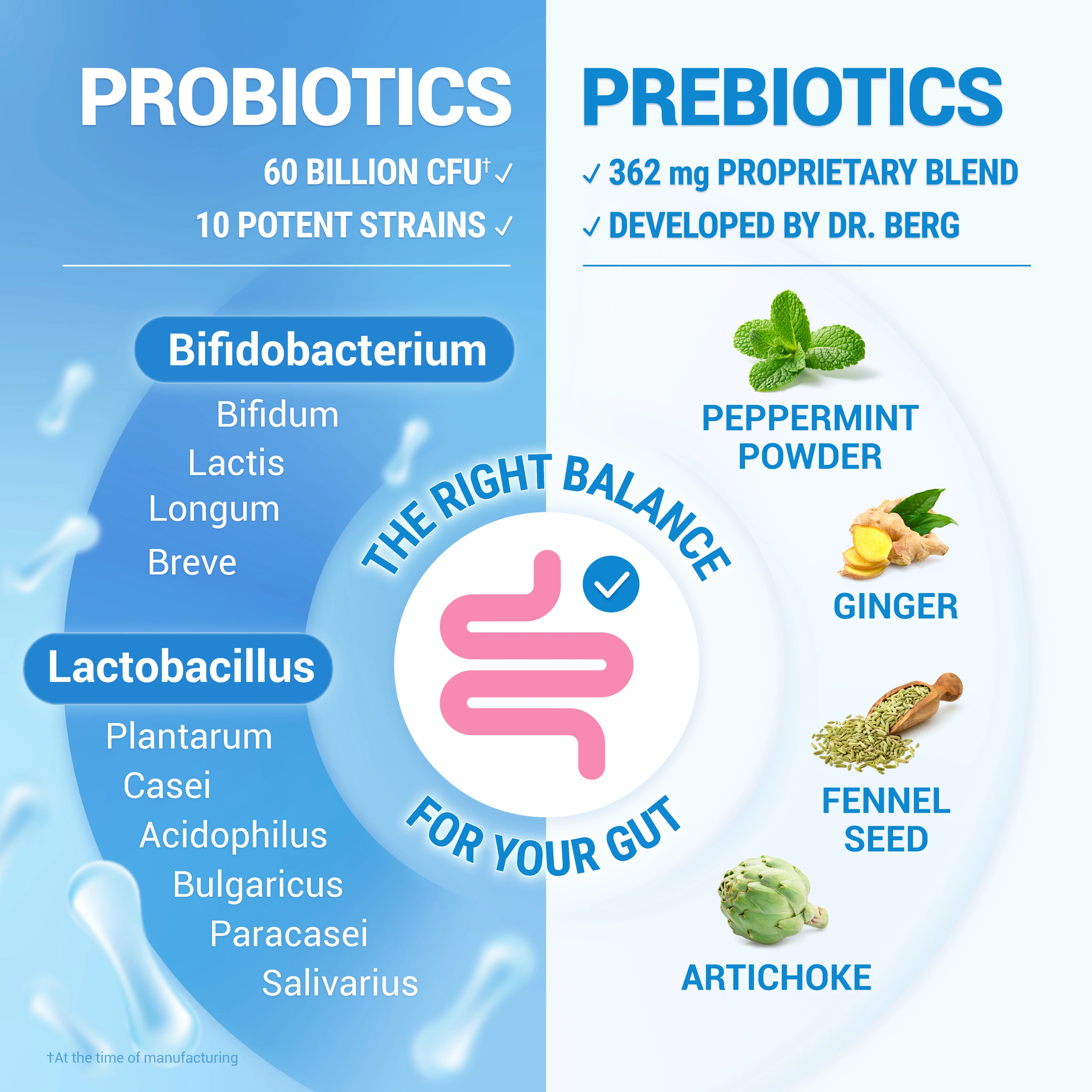 Dr. Berg Probiotics with Prebiotic Blend - Image 8