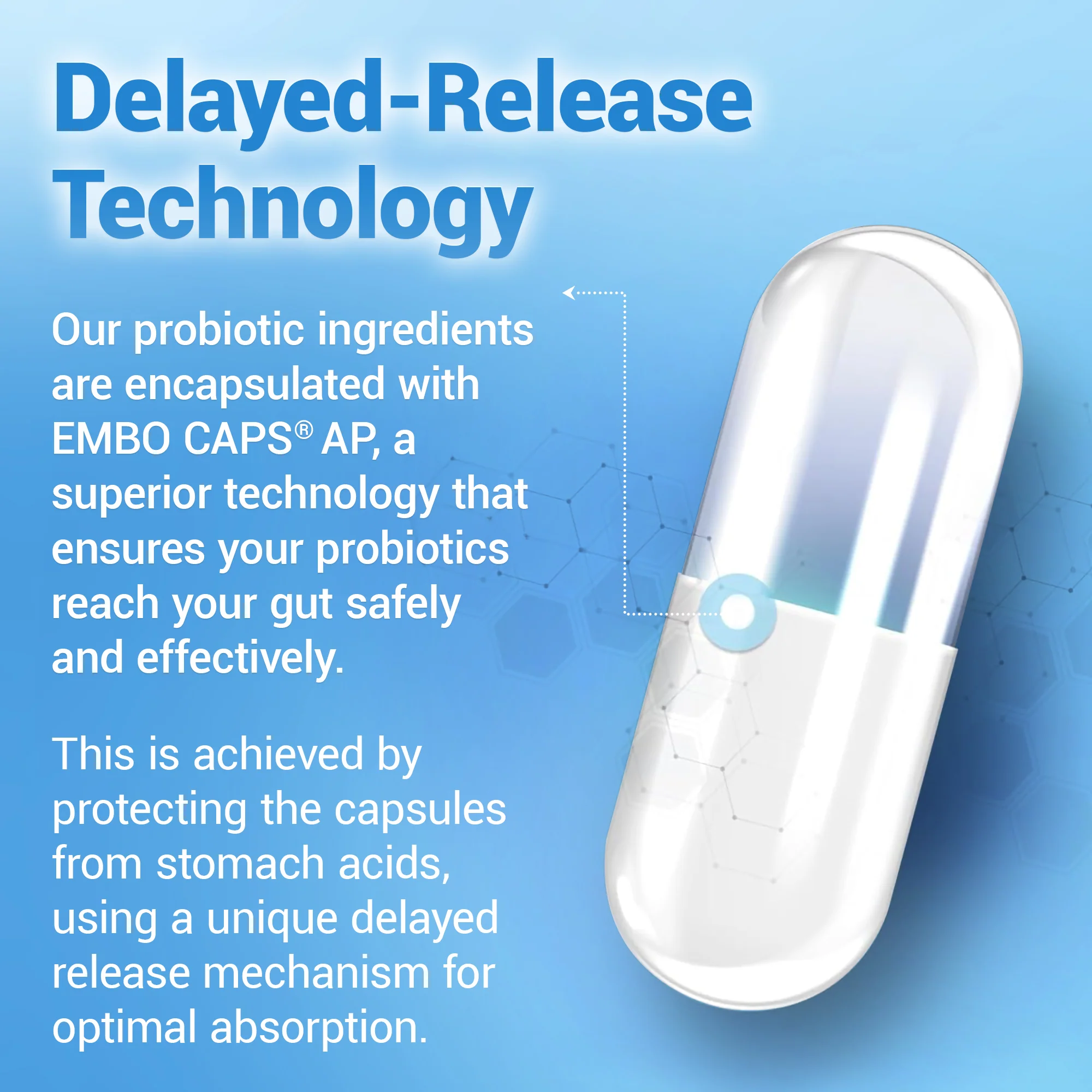 Dr. Berg Probiotics with Prebiotic Blend - Image 9